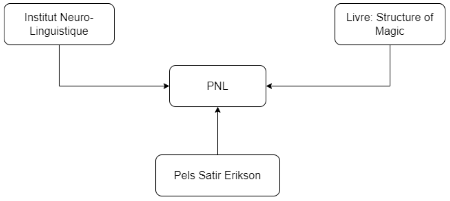 Schéma Institut Neuro-Linguistique